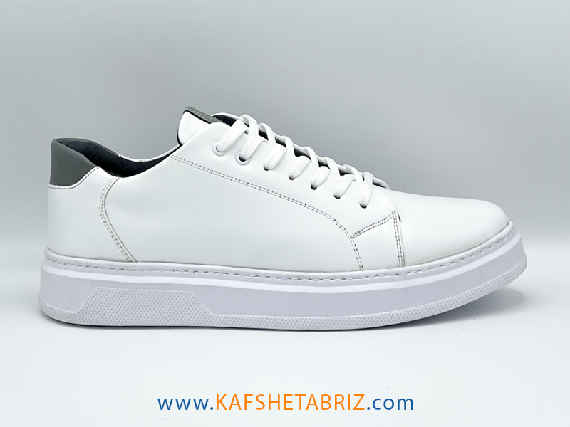 کفش مردانه ونس زارا