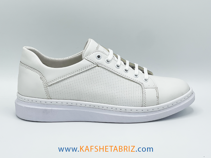 کفش مردانه روزمره - مدل ونس کارینو